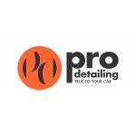 Pro Detailing